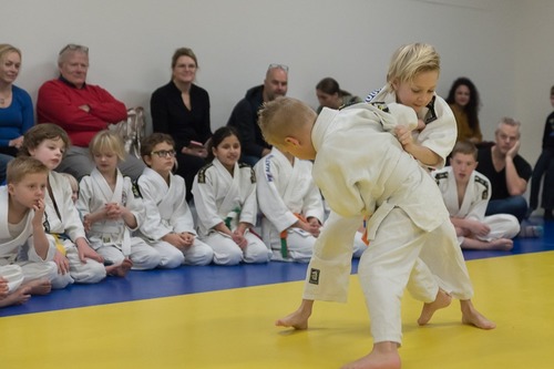 Judo